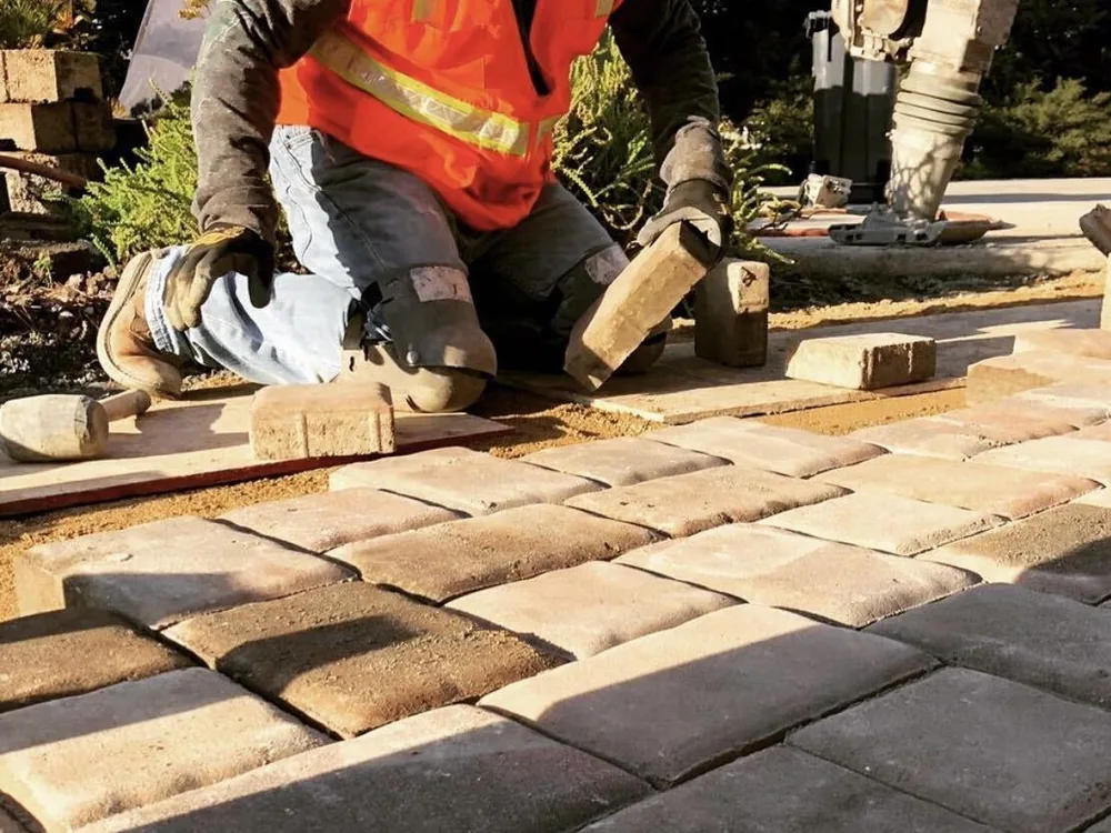 Crew kneeling to set pavers over screeded sand with a plate compactor alongside